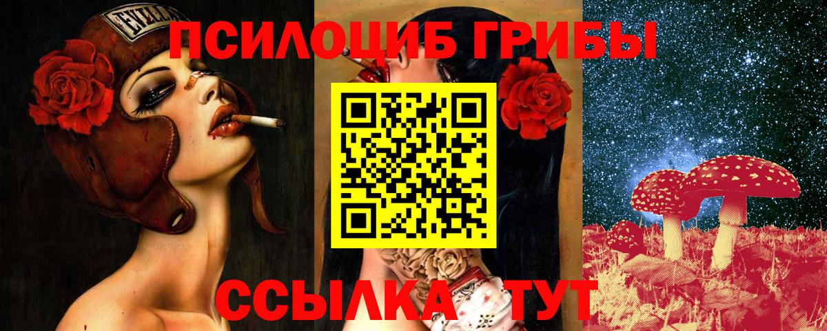 Галлюциногенные грибы Psilocybe  Псилоцибиновые грибы GOLDEN TEACHER  Вход с VPN  Черняховск 